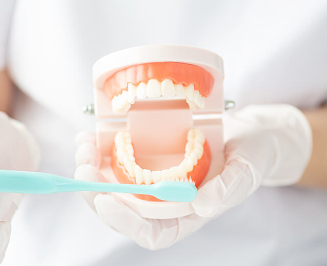 衛生士による、基本的な歯磨き指導の実施